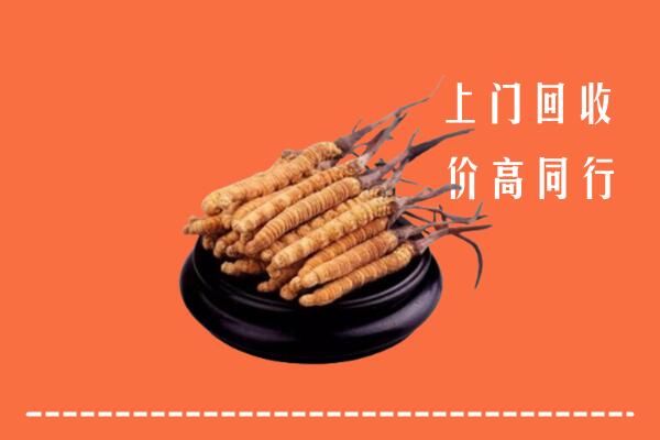 高价求购：咸阳回收散虫草