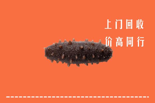 高价求购：咸阳回收海参