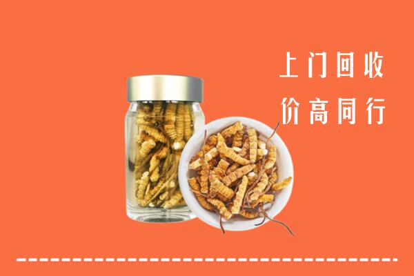 咸阳高价回收冬虫夏草